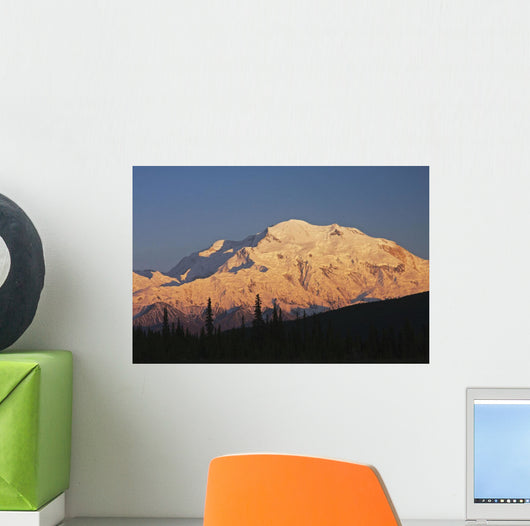 Sunset scenic on Mt McKinley, Denali National Park, Interior Alaska Wall Mural