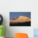 Sunset scenic on Mt McKinley, Denali National Park, Interior Alaska Wall Mural