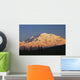 Sunset scenic on Mt McKinley, Denali National Park, Interior Alaska Wall Mural