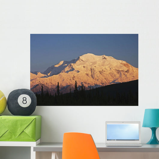 Sunset scenic on Mt McKinley, Denali National Park, Interior Alaska Wall Mural