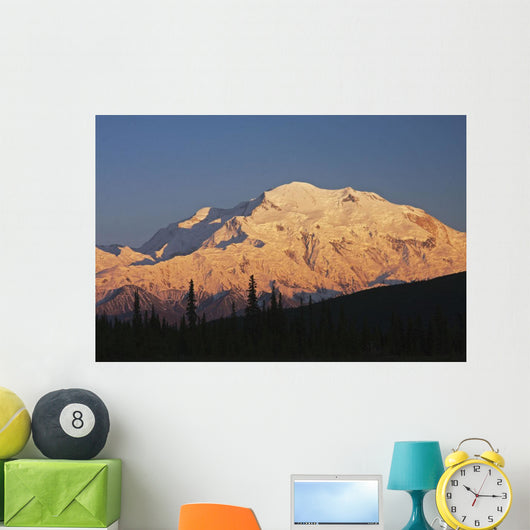 Sunset scenic on Mt McKinley, Denali National Park, Interior Alaska Wall Mural