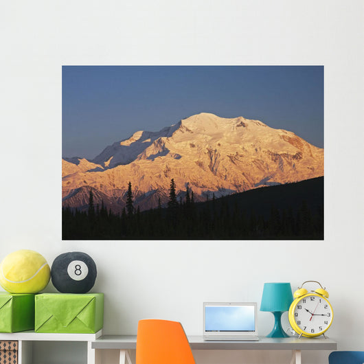Sunset scenic on Mt McKinley, Denali National Park, Interior Alaska Wall Mural