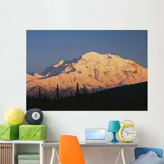 Sunset scenic on Mt McKinley, Denali National Park, Interior Alaska Wall Mural