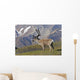 Caribou near the Park road, Denali National Park, Interior Alaska Wall Mural