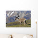 Caribou near the Park road, Denali National Park, Interior Alaska Wall Mural