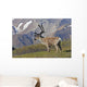 Caribou near the Park road, Denali National Park, Interior Alaska Wall Mural