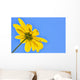 Yellow flower against a blue sky Wall Mural