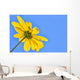 Yellow flower against a blue sky Wall Mural