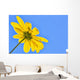 Yellow flower against a blue sky Wall Mural