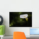 Calla lily Wall Mural
