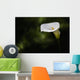 Calla lily Wall Mural