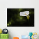 Calla lily Wall Mural
