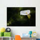 Calla lily Wall Mural