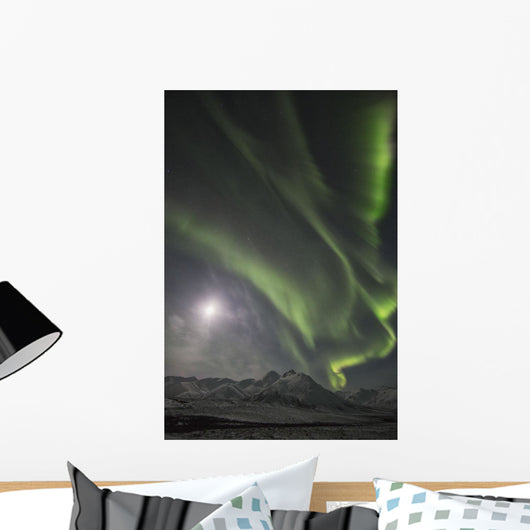 Northern Lights Wall Mural