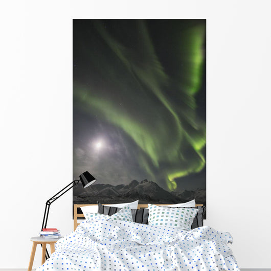 Northern Lights Wall Mural