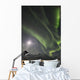 Northern Lights Wall Mural