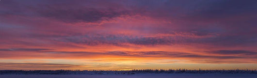 Sunrise clouds over the Porcupine River Wall Mural