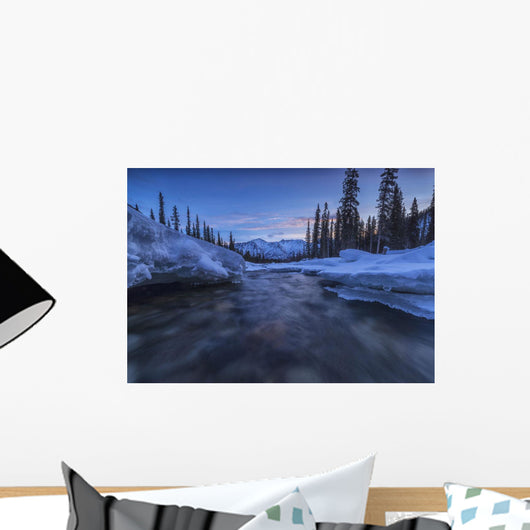 Motion blur of Wheaton River in winter Wall Mural