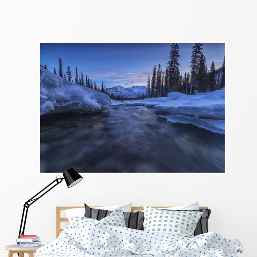 Motion blur of Wheaton River in winter Wall Mural