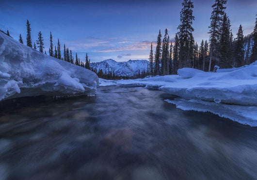Motion blur of Wheaton River in winter Wall Mural