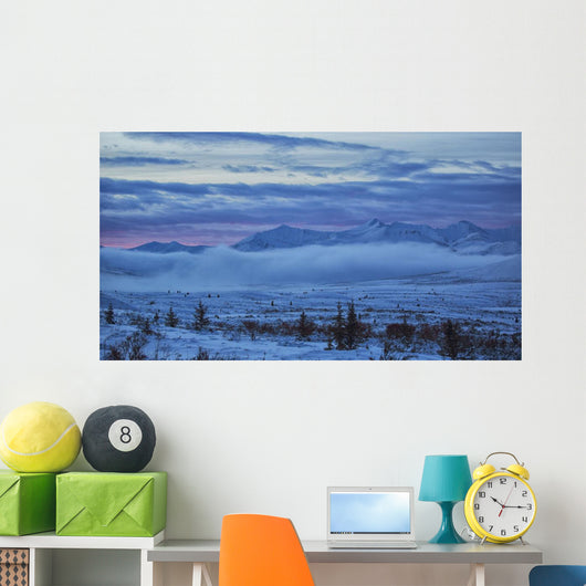 Winter sunrise along the Dempster Highway Wall Mural