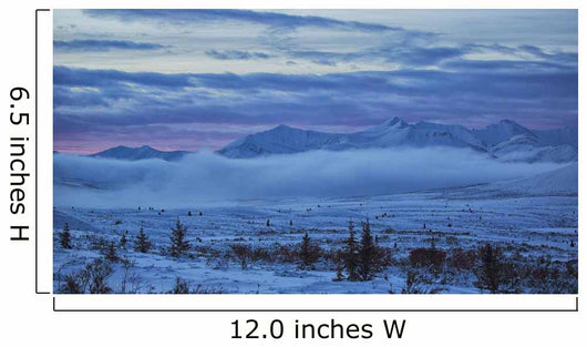 Winter sunrise along the Dempster Highway Wall Mural