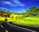 Summer Travel Wall Decal