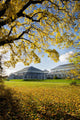 Kew Gardens Temperate House Wall Mural