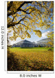 Kew Gardens Temperate House Wall Mural