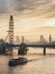 Millennium Wheel with Big Wall Decal
