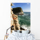 Cliffs along the coastline of the Italian Riviera Wall Mural