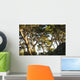 Trees and blue sky Wall Mural