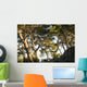 Trees and blue sky Wall Mural