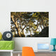 Trees and blue sky Wall Mural
