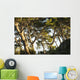 Trees and blue sky Wall Mural