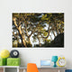 Trees and blue sky Wall Mural