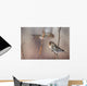 A Common Redpoll perches on a snowy spruce tree on a cold day Wall Mural
