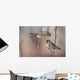 A Common Redpoll perches on a snowy spruce tree on a cold day Wall Mural