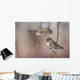 A Common Redpoll perches on a snowy spruce tree on a cold day Wall Mural