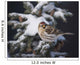 A female Common Redpoll perches on a snowy spruce tree on a cold day Wall Mural