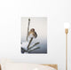 A Common Redpoll perches atop a snowy spruce tree on a frigid day Wall Mural