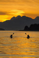 Sea Kayaking on a sublime evening Wall Mural