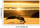 Humpback Whale Returns to Wall Decal