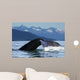 A Humpback whale lifts its flukes as it returns to the depths to feed Wall Mural