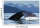 A Humpback whale lifts its flukes as it returns to the depths to feed Wall Mural