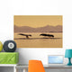 Couple Humpback Whales Lift Wall Decal