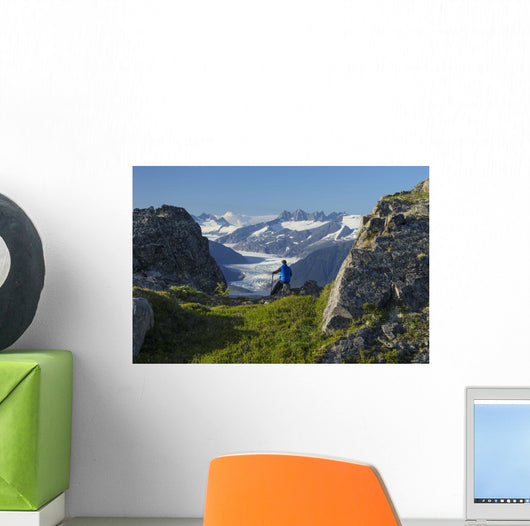 Mendenhall Glacier and the surrounding mountains provide a view Wall Mural