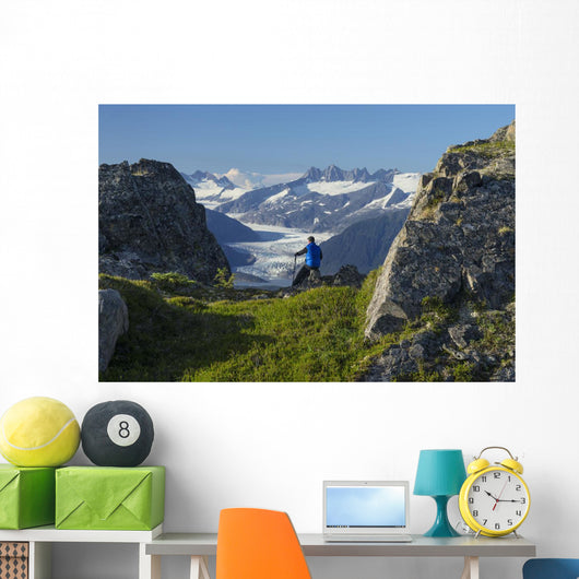 Mendenhall Glacier and the surrounding mountains provide a view Wall Mural