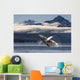 A humpback whale breaches as it leaps Wall Mural
