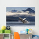 A humpback whale breaches as it leaps Wall Mural